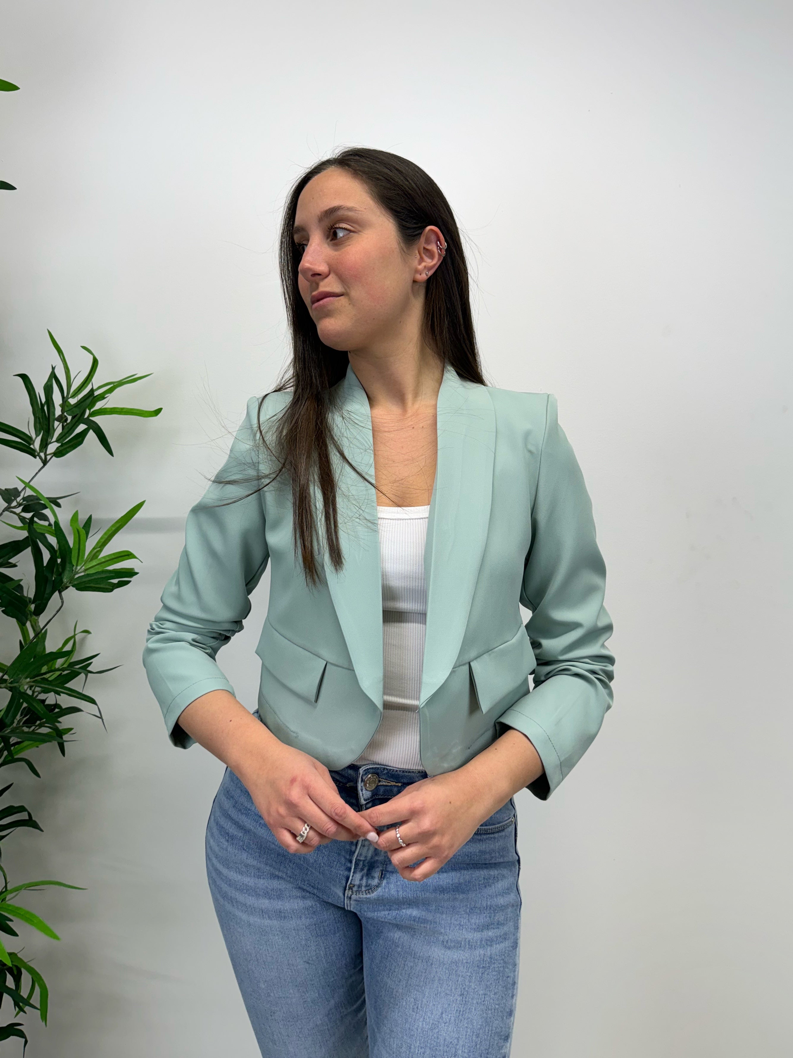 Blazer crop +colori