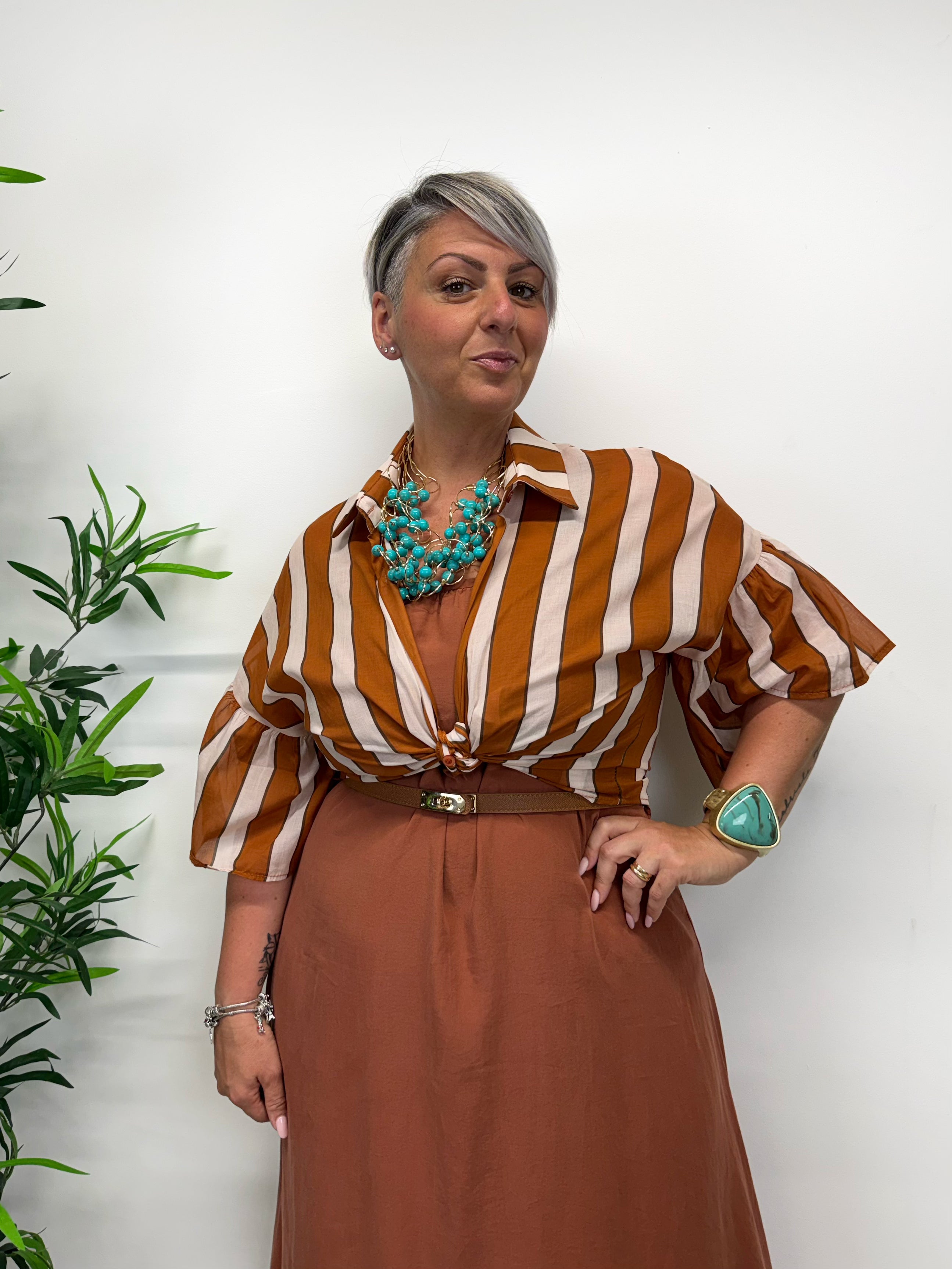Camicia a righe terra di Siena