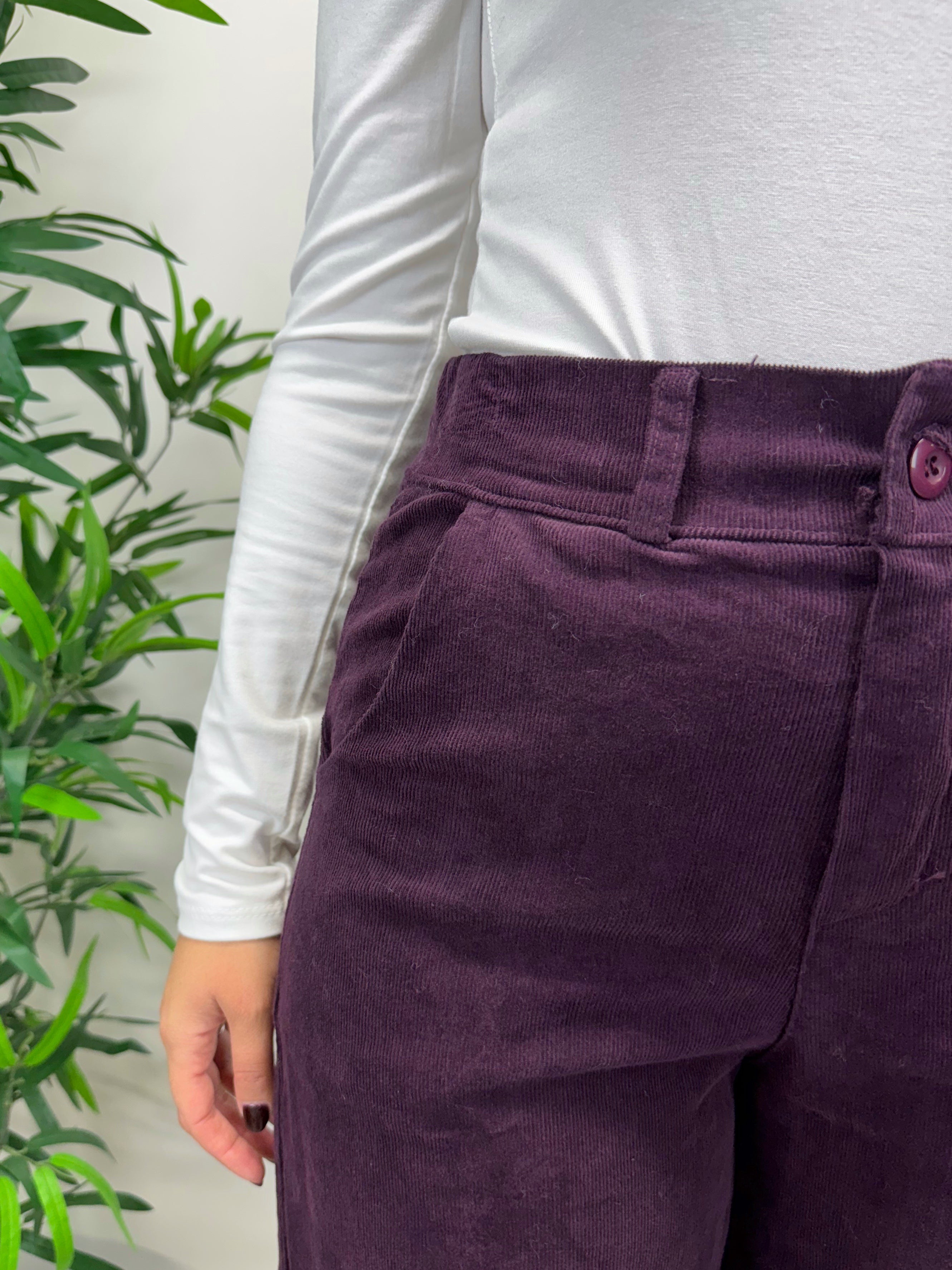 Pantapalazzo in velluto +colori