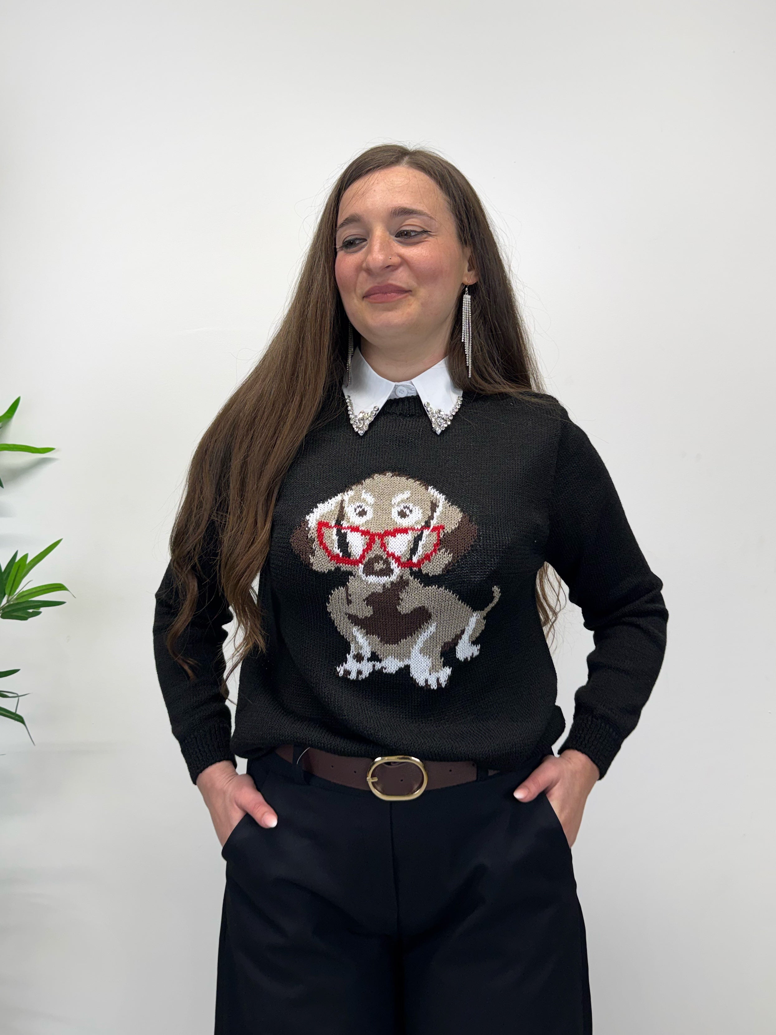 Maglioncino bassotto +colori